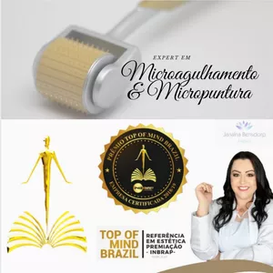 CURSO EXPERTS EM MICROPUNTURA E MICROAGULHAMENTO