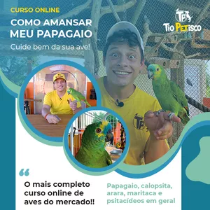 Como Amansar Meu Papagaio