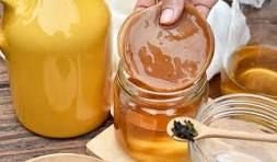 Kombucha da Che - Cheila Paim